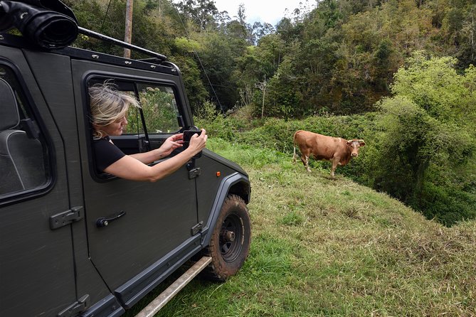 Safari 4x4 to Pico Arieiro in Santana in a Small Group From Flowereast - Cancellation Policy and Refunds