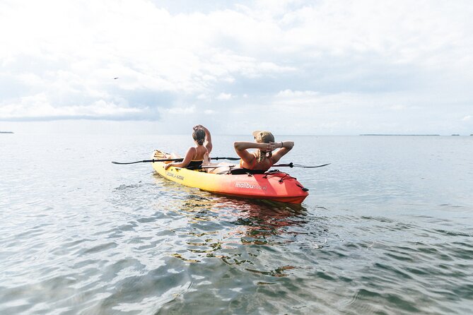 Sail, Snorkel, Kayak, Dolphins, and Lunch With Honest Eco - Included Amenities and Gear