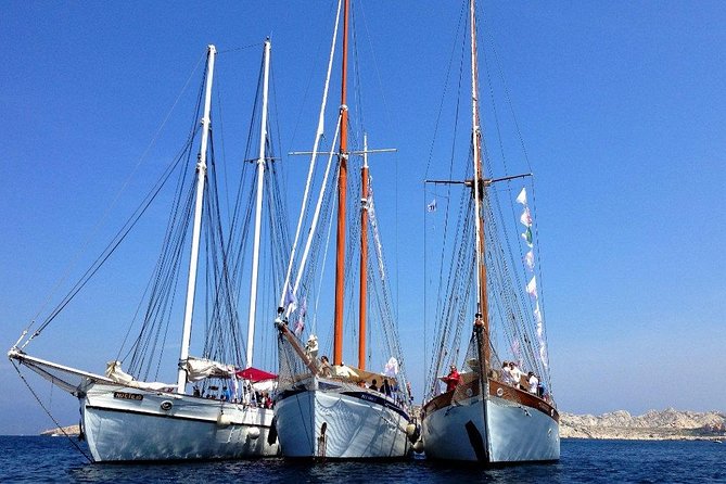 Sailing Day in the Heart of the Calanques - Safety and Accessibility Features