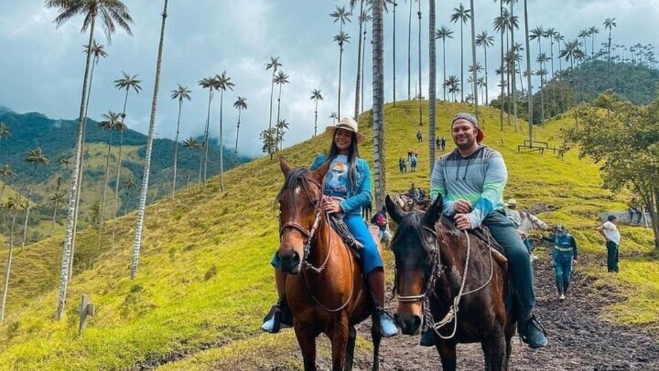 Salento, Cocora Horseback Riding From Pereira or Armenia - What to Expect