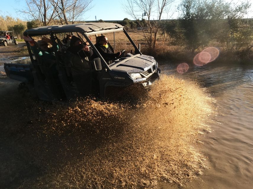 Salou: Buggy Safari With Hotel Transfer - Customer Feedback