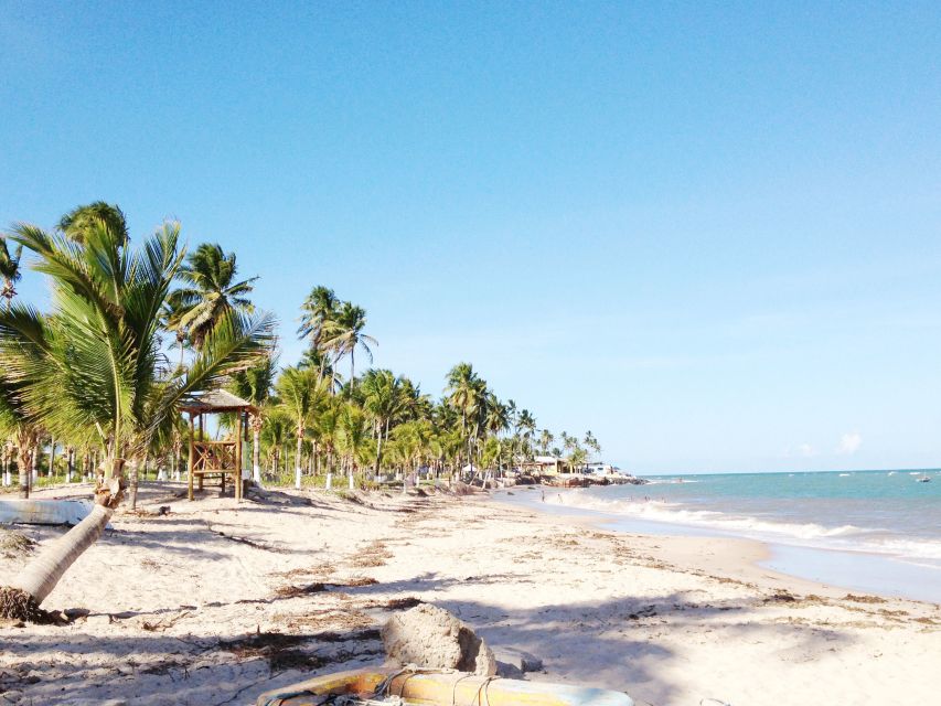 Salvador: Schooner Cruise With Pickup and Itaparica Stop - Explore Ilha Dos Frades