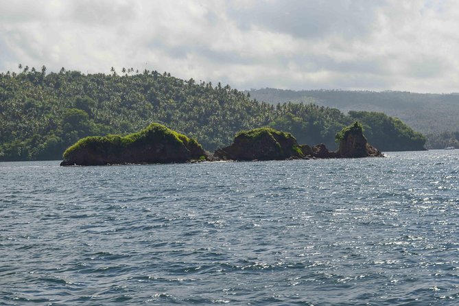 Samana Full-Day Tour With Whale Watching and Horse Riding - Coffee and Cacao Farm Tour