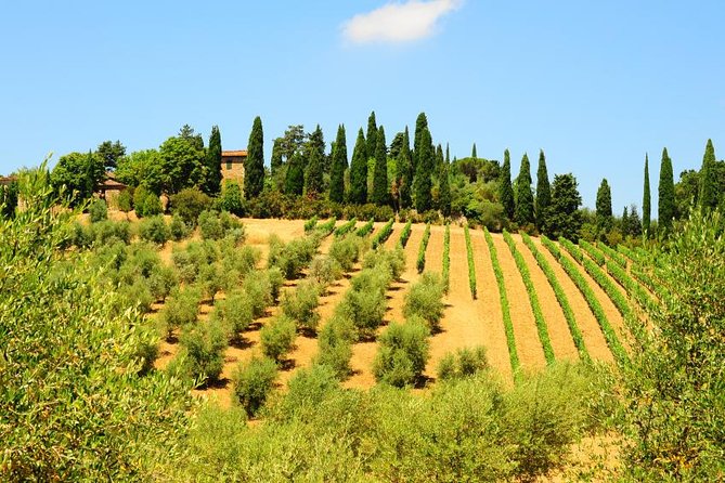 San Gimignano, Siena, Monteriggioni: Fully Escorted Tour, Lunch & Wine Tasting - Siena Cathedral Visit