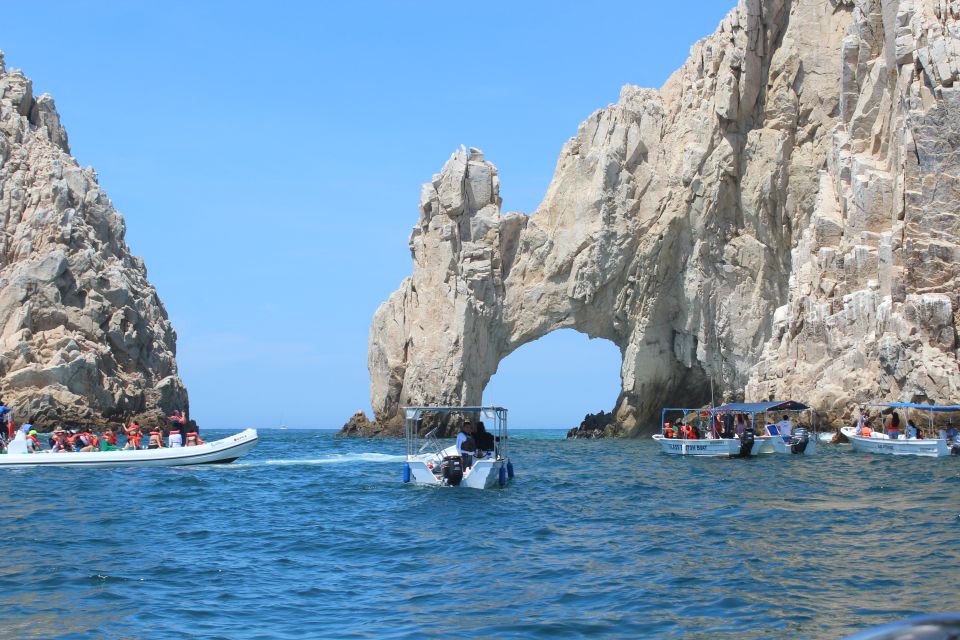 San Jose Del Cabo and Cabo San Lucas: Half-Day Guided Tour - Fishing Village of La Playita