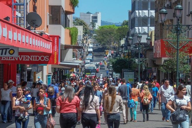 San Jose Sightseeing City Tour - Guides and Customer Experiences