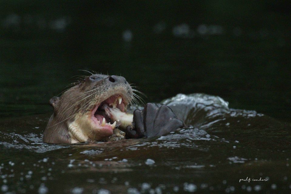 Sandoval Lake 4 Days/3 Nights - Rainforest Exploration Activities