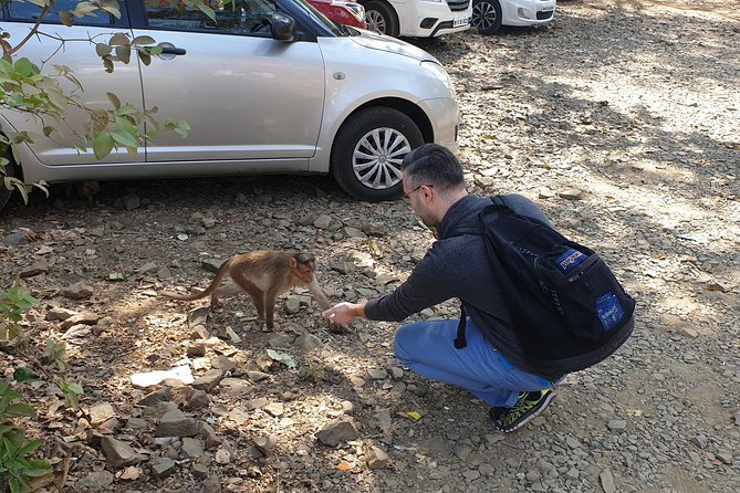 Sanjay Gandhi National Park(SGNP) + Kenheri Caves + Lion Safari + Jain Temple - Highlights of the Experience