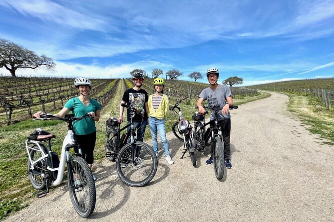 Santa Ynez Valley Biking and Wine Tasting Tour - Wine and Olive Oil Tastings