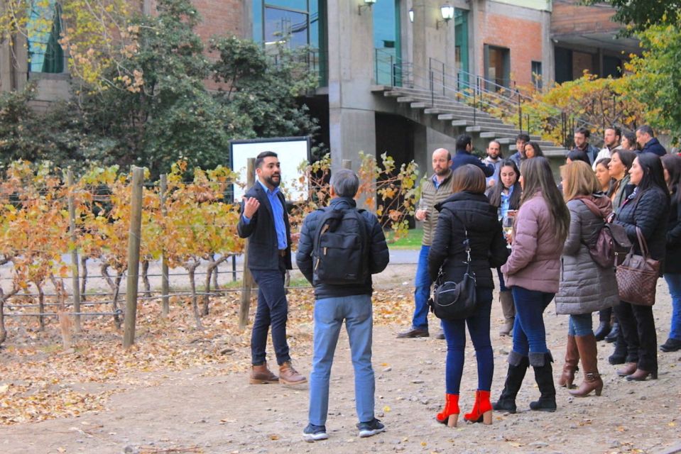 Santiago: Cousiño Macul Official Winery Tour With Tasting - Tour Experience