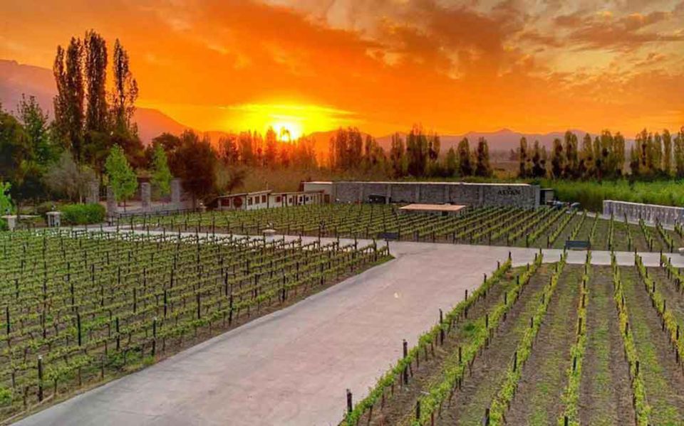 Santiago: Sunset Winery Tour With Wine Tastings and Dinner - Highlights of the Tour