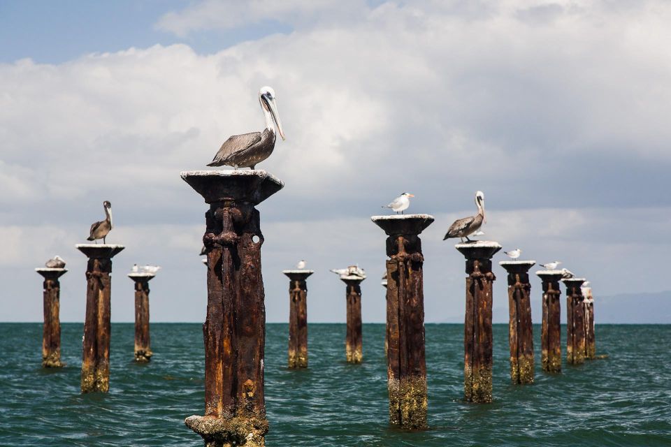 Santo Domingo: Los Haitises National Park & Bacardi Island - Transportation Details