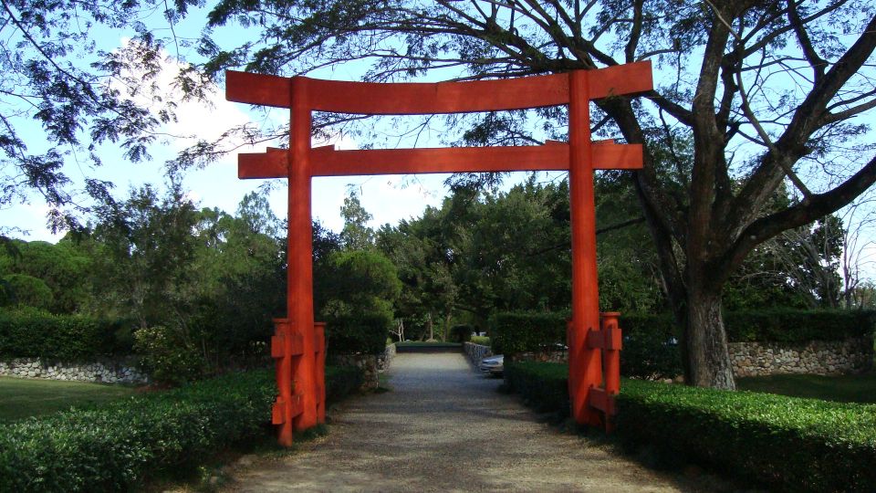 Santo Domingo: Natural Treasures of the City - Visiting the National Botanical Garden