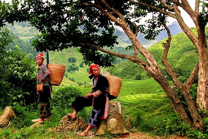 Sapa Easy Trekking Tour 1 Day - Rice Paddies and Cultures - Meeting Point and Pickup