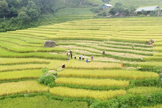 Sapa Experience 2 Days 1 Night From Hanoi With Local Guide - Cancellation and Refund Policy