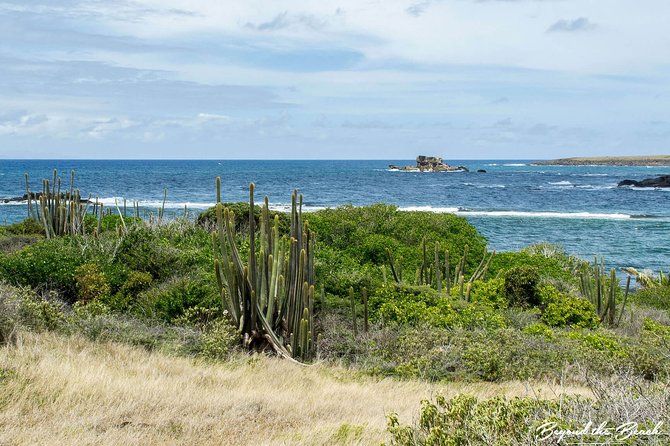 Savane Des Petrifications Hike - Tour Duration and Schedule