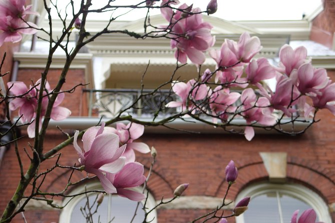 Savannah Historic District Walking Tour - Guided Tour Highlights