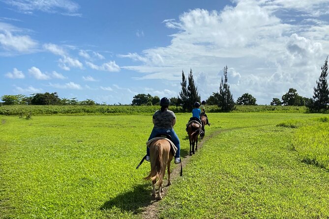 Scenic Horseback Riding Tour From San Juan - Safety Requirements