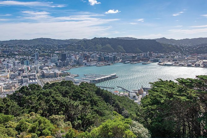 Scenic Wellington Helicopter Flight - Tour Inclusions and Details