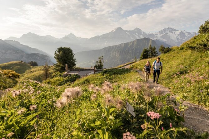 Schynige Platte Admission - Hiking and Sightseeing