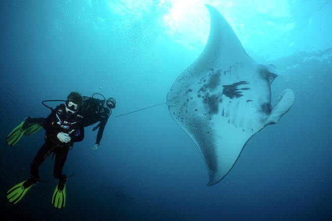 Scuba Diving 3 Dives Including Manta Rays at Nusa Penida - Included in the Package