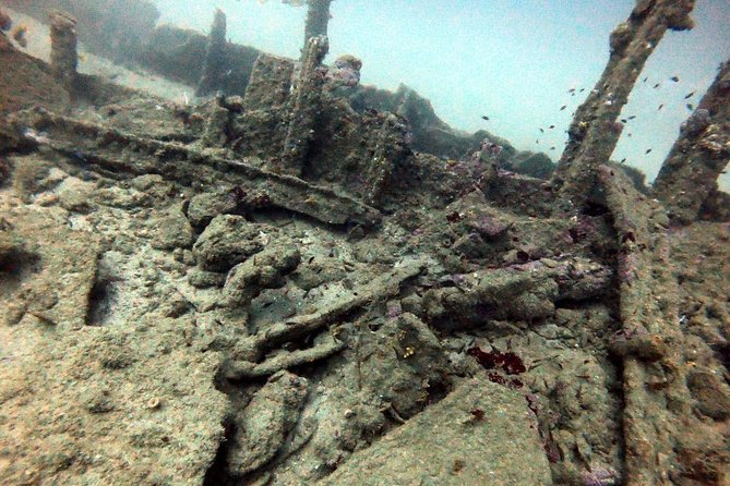 Scuba Diving in Unawatuna - Who Can Join the Adventure