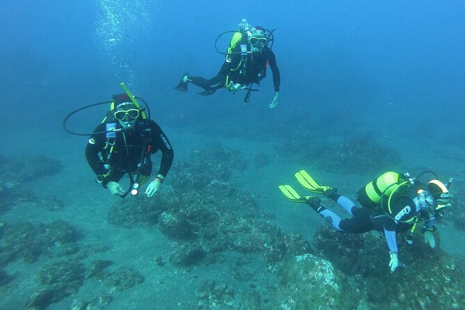 Scuba Diving - User Experiences and Reviews