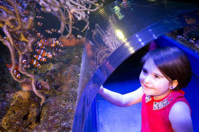 SEA LIFE Manchester Admission Ticket - Capturing Memorable Souvenir Photos