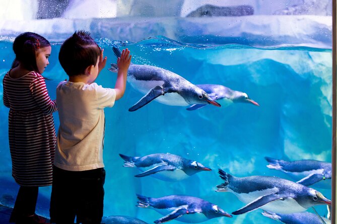 SEA LIFE Paris Val Deurope Aquarium Entry Ticket - Feeding Schedule Information