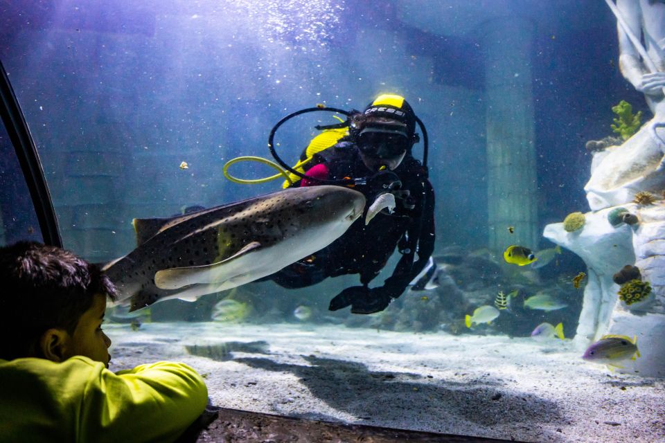 SEA LIFE Porto Full-Day Entrance Ticket - Visitor Accessibility Features