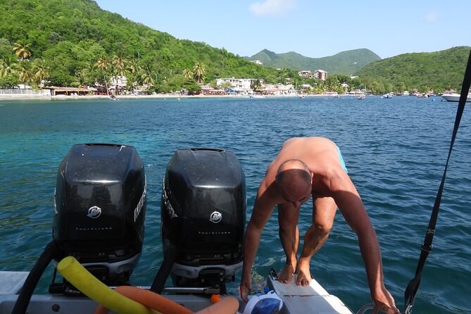 Sea Turtles and Snorkeling - Customer Reviews and Feedback