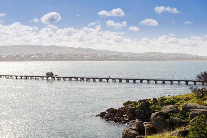 Seal Island Boat Tour From Victor Harbor - Tour Features