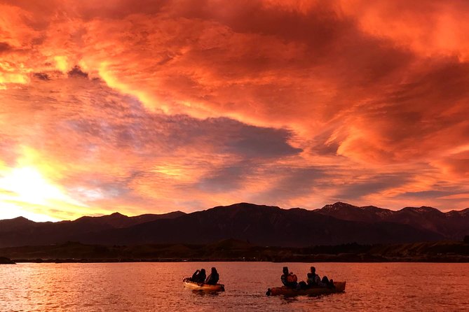 Seal Kayaking Adventure in Kaikoura - Tour Options and Pricing