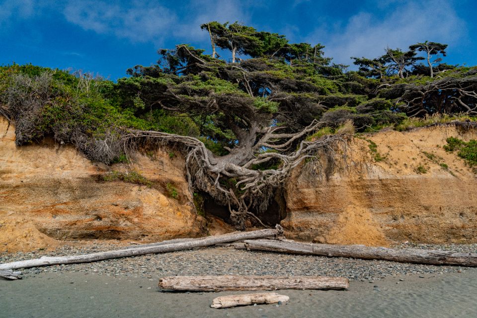 Seattle And Olympic NP Self-Guided Audio Bundle Tour - Olympic National Park Exploration