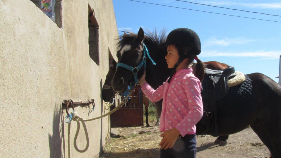 Sedini: Horseback Riding for Children Near Castelsardo - Booking and Pricing Details