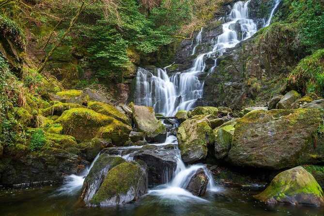 Self-Guided Bike Tour of Killarney National Park, Muckross Gardens & Waterfall - Muckross Abbey and Monastic Site