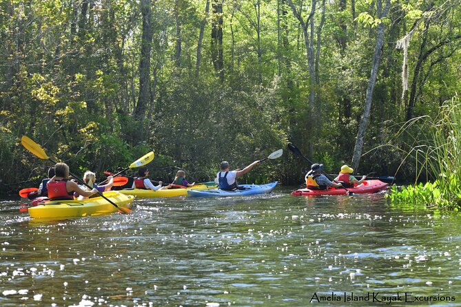 Self Guided Family Friendly Kayak Rental Experience Old Florida - Accessibility Features and Considerations