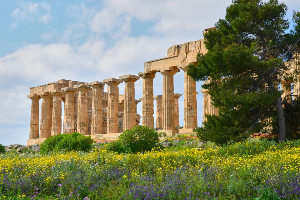 Selinunte: Archeological Park Entry Ticket and Pemcards - Accessibility Features