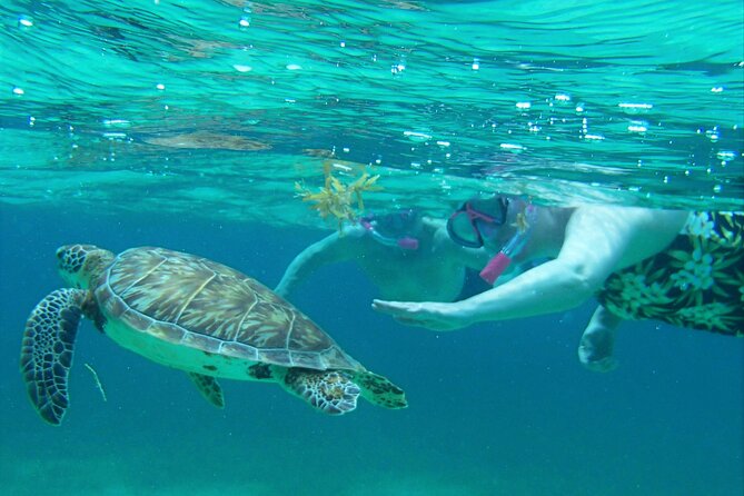 Semi-private Exclusive All-in-1 Full Day Shared Guided Tour - Inclusions and Amenities
