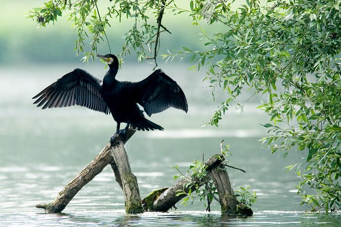 Serenity Cruise to Australias Everglades - Tour Logistics and Comfort