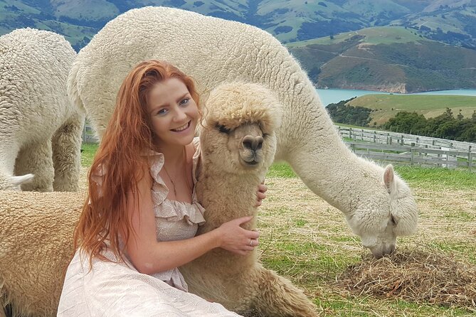 Shamarra Alpaca Farm Tours - Transportation Options