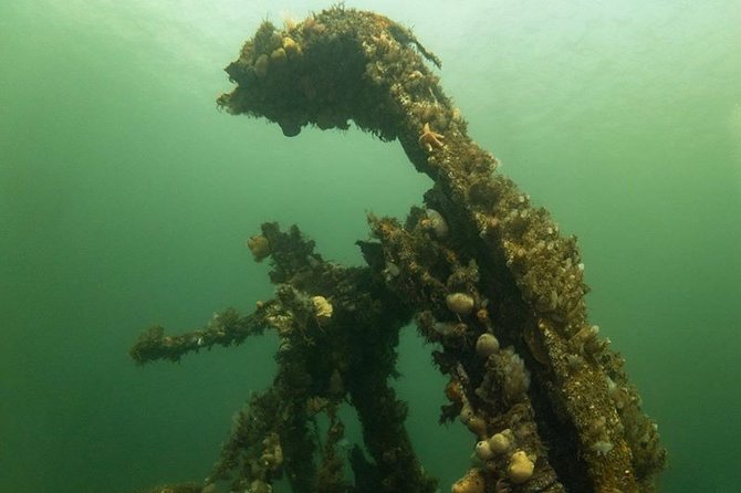 Shipwreck Hunters - Advanced Sonar Technology