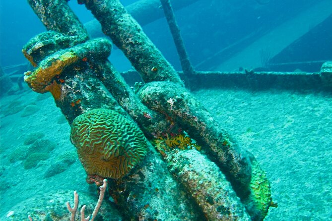 Shipwreck Snorkel in Bermuda - Refreshments and Amenities