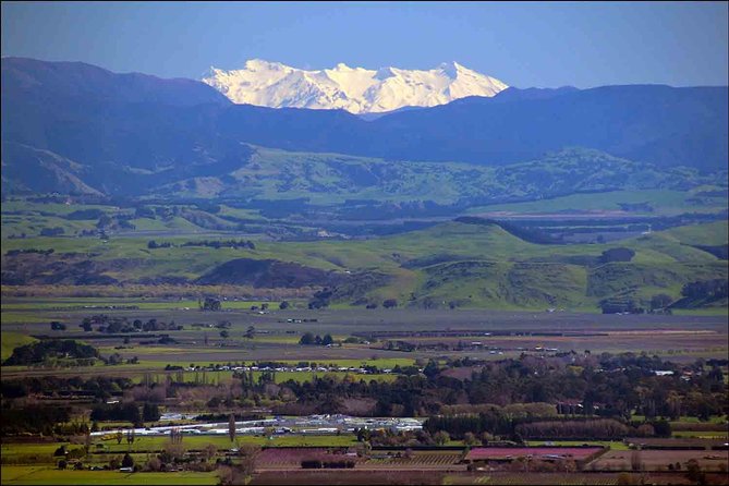 Shore Excursion: 4-Hour Discover Hawkes Bay and Napier Tour - Experience and Expectations