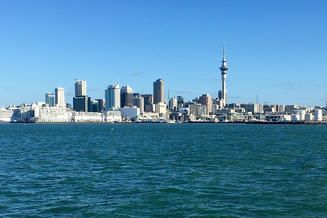 Shore Excursion: Auckland Scenic Full Day Tour - 8 Hours - Traveler Reviews