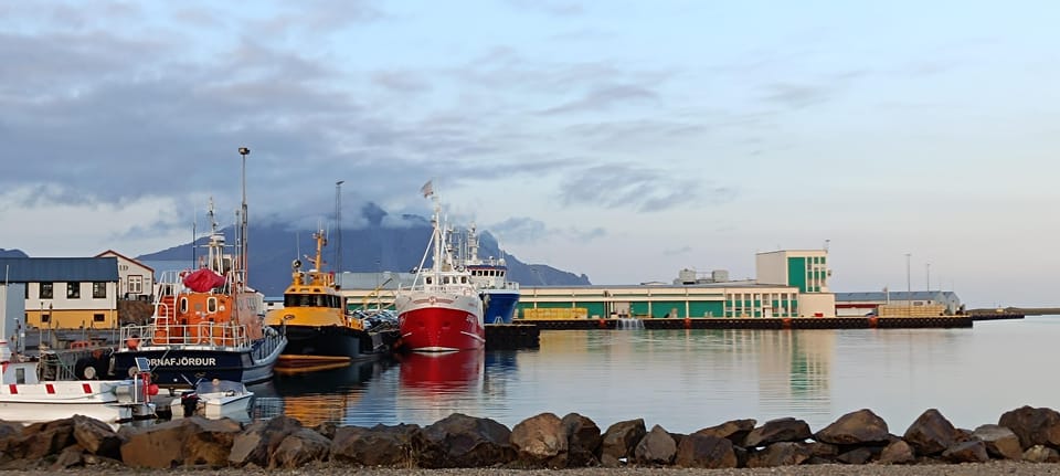 Shore Excursion Djúpivogur: Stokksnes-Vestrahorn-Höfn (Lunch) - Experience Highlights