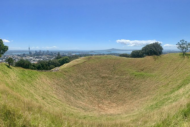 Shore Excursion: Half-Day Auckland Volcanoes Tour - What to Expect