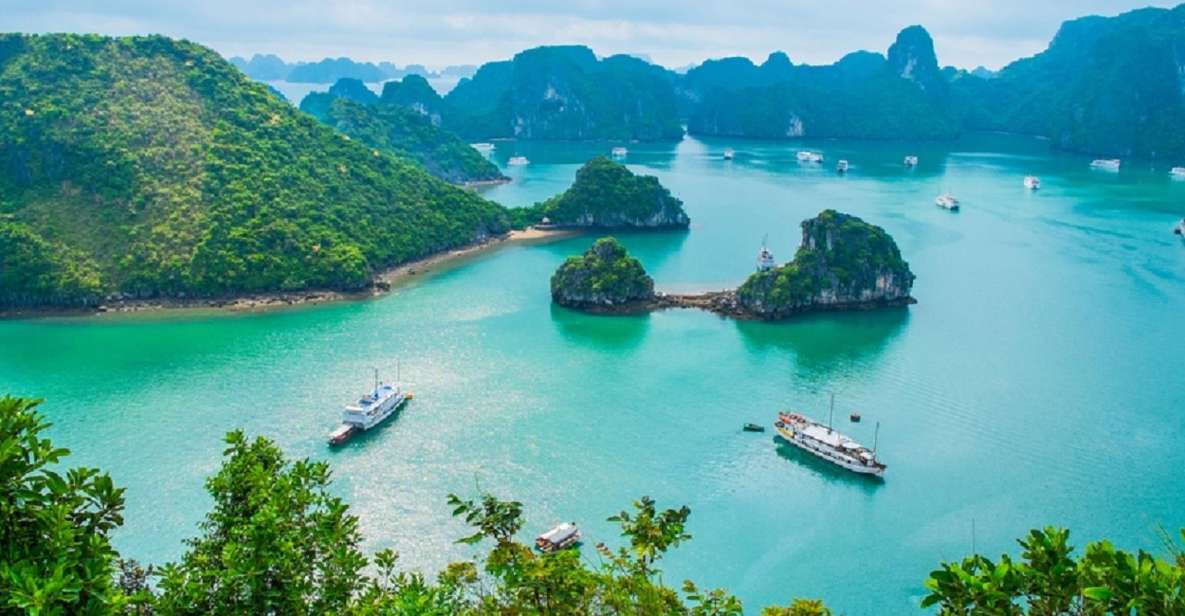 Shore Excursion: Halong Bay Cruise Day Trip From Halong Port - Inclusions for Your Trip