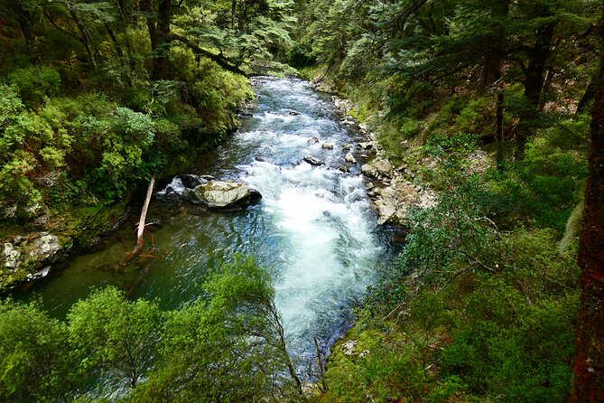 Shore Excursion: Scenic Rafting From Napier - Accessibility Features