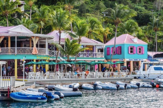 Shore Excursion: The Tortola Unique Treasures Tour - Accessibility and Limitations